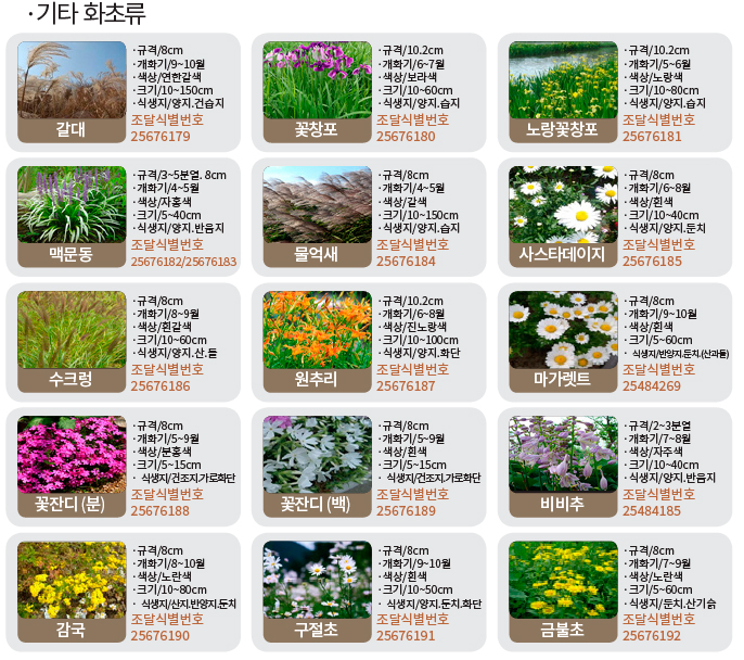 수생-기타화초류