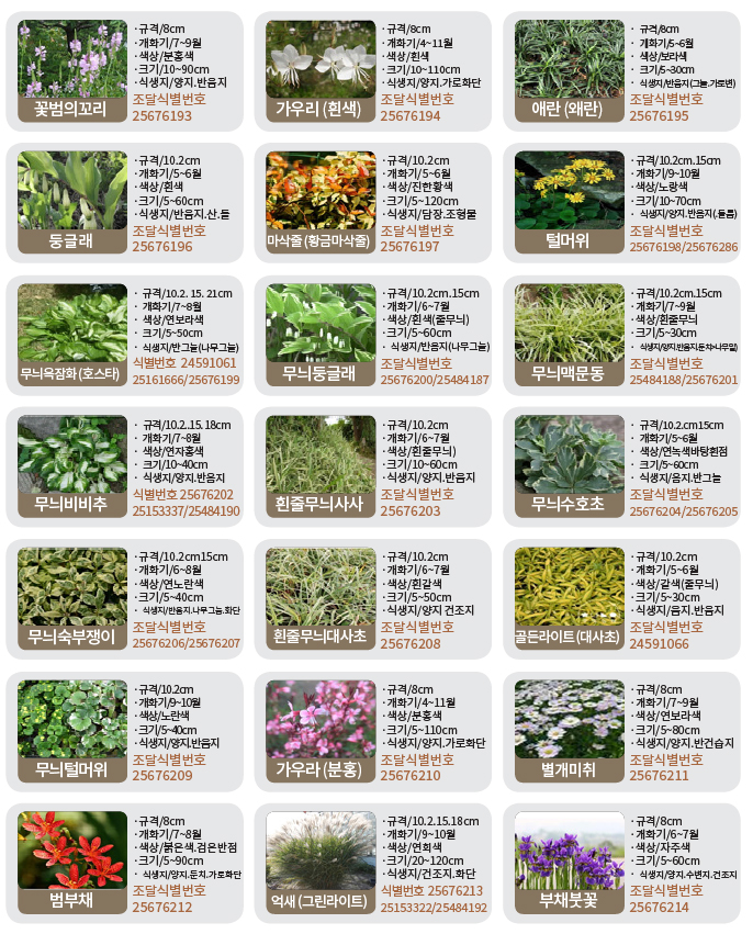 수생-기타화초류