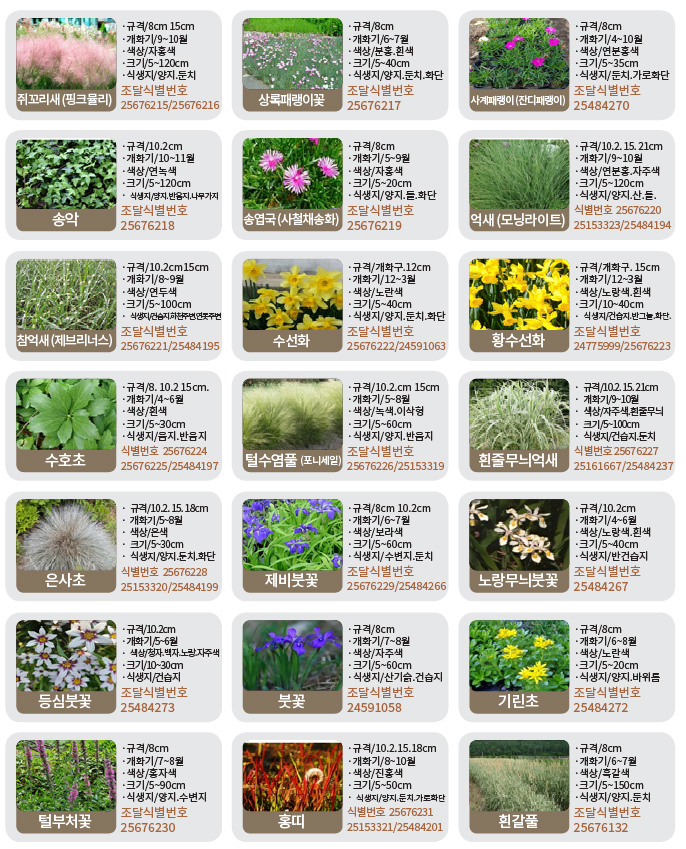 수생-기타화초류