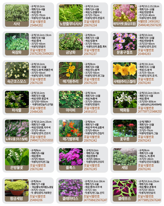 수생-기타화초류