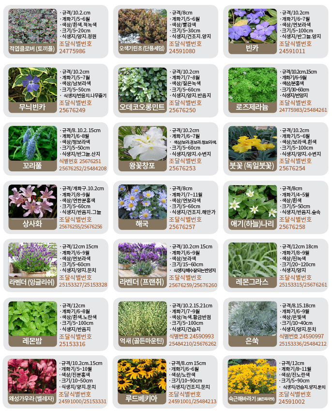 수생-기타화초류