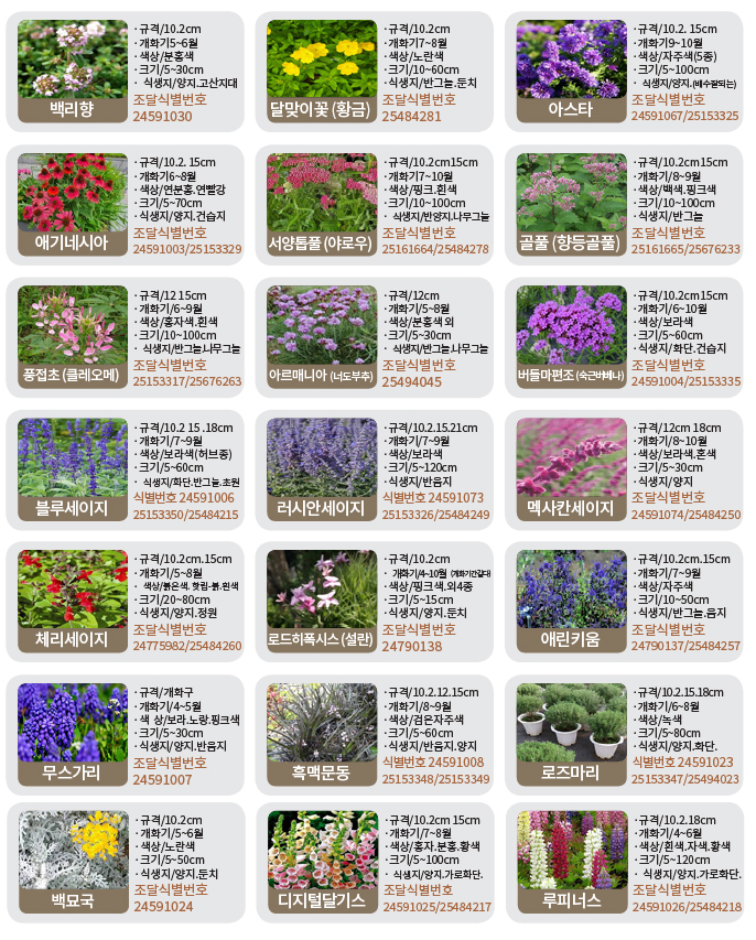 수생-기타화초류