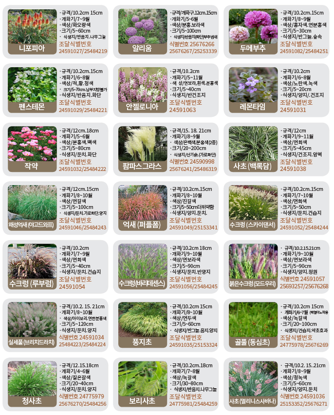 수생-기타화초류