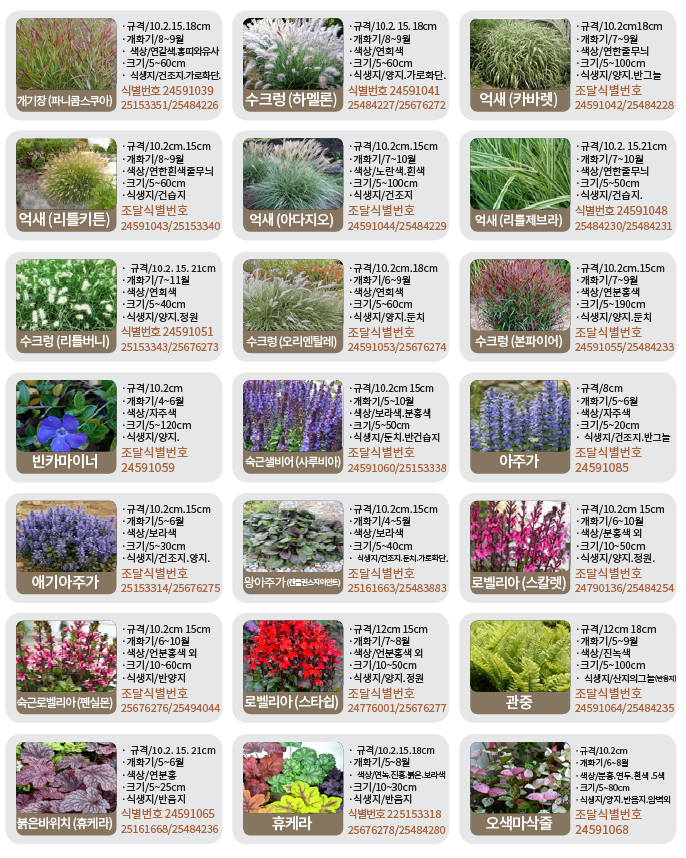 수생-기타화초류