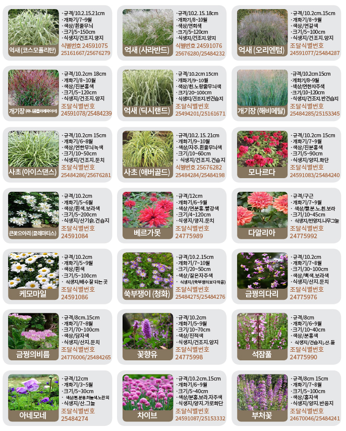 수생-기타화초류