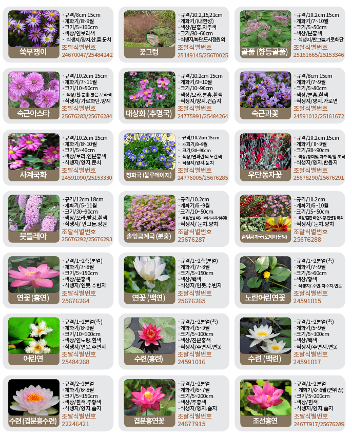 수생-기타화초류