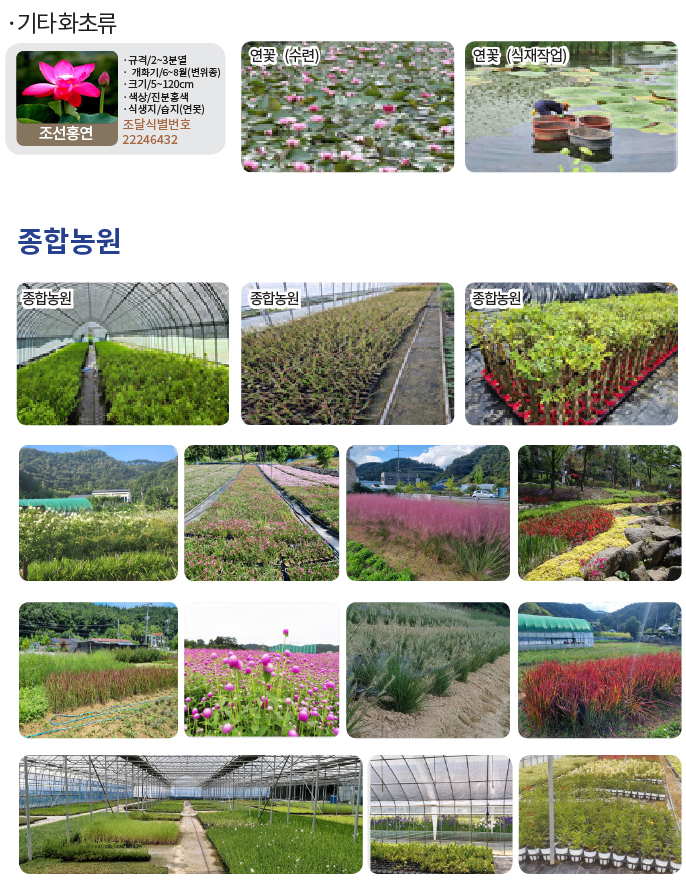 수생-기타화초류